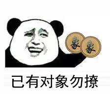 已有对象勿撩表情包图片