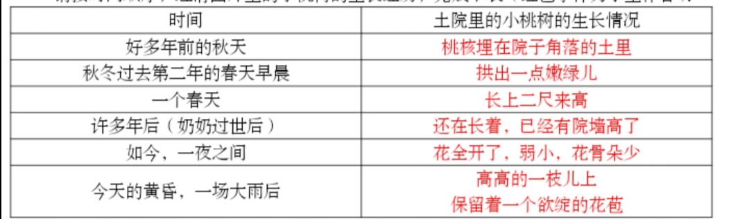 贾平凹的《一棵小桃树》怎么讲？飘絮老师的思路可供参考！