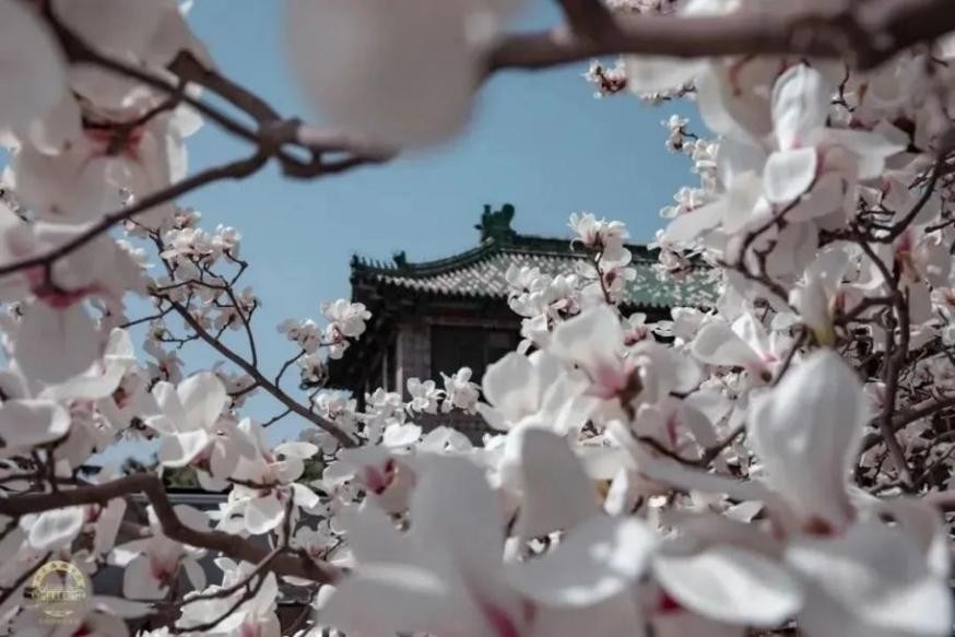 坐拥6家卫健委直属医院，创造多个 “第一”，这所医学殿堂落成整整百年！