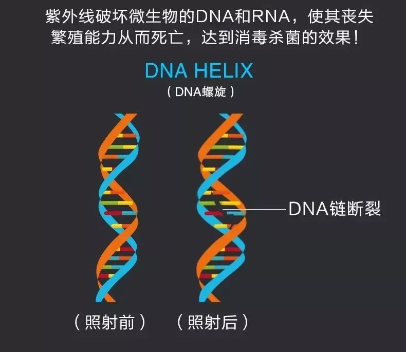 婴儿消毒柜怎么选？七个要点，看完就懂