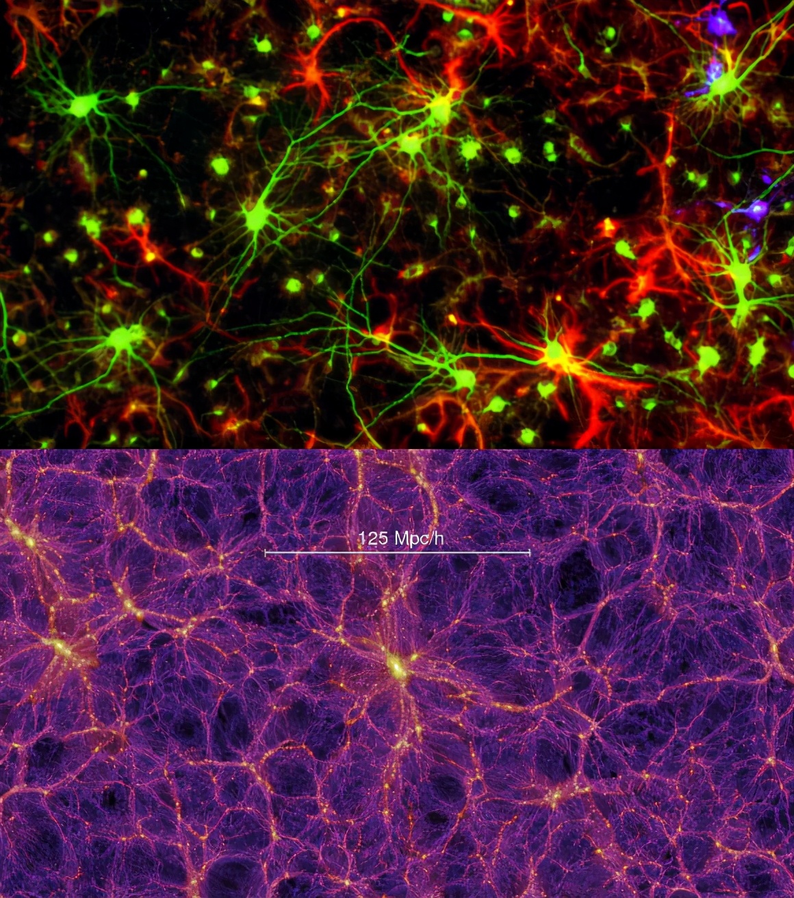 宇宙类似大27个数量级的人脑？科学家发现大量令人震惊相似之处
