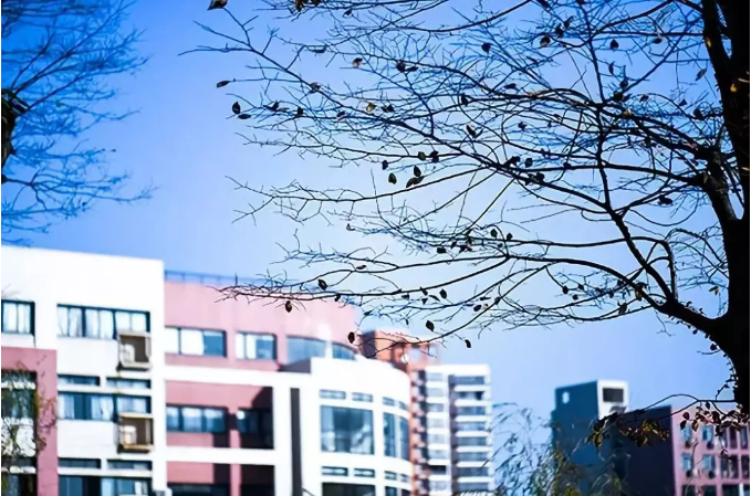 关注！湖北这所高校：7个专业就业率100%