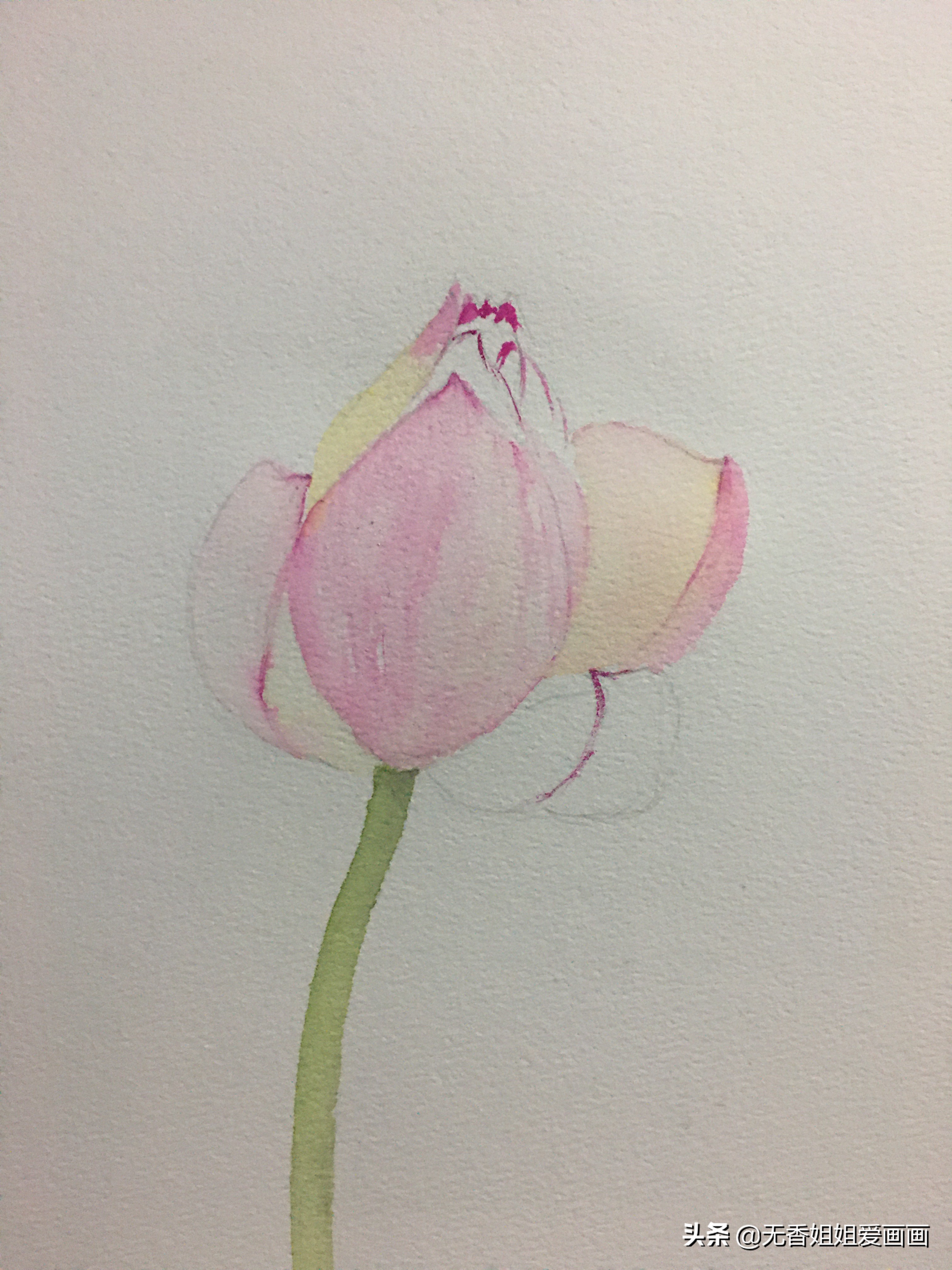 如何简笔画一朵美丽的荷花