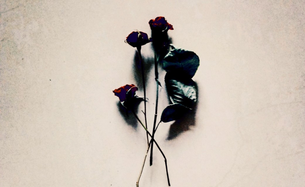 全国中小学生创新作文大赛特等奖作品10篇，满分作文的范文