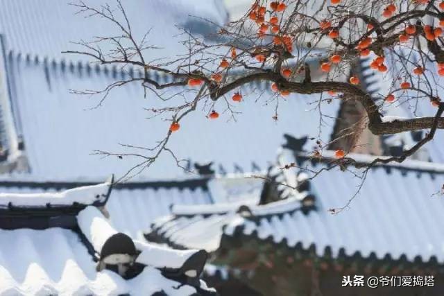 红墙，白雪，琉璃瓦，大雪压青松