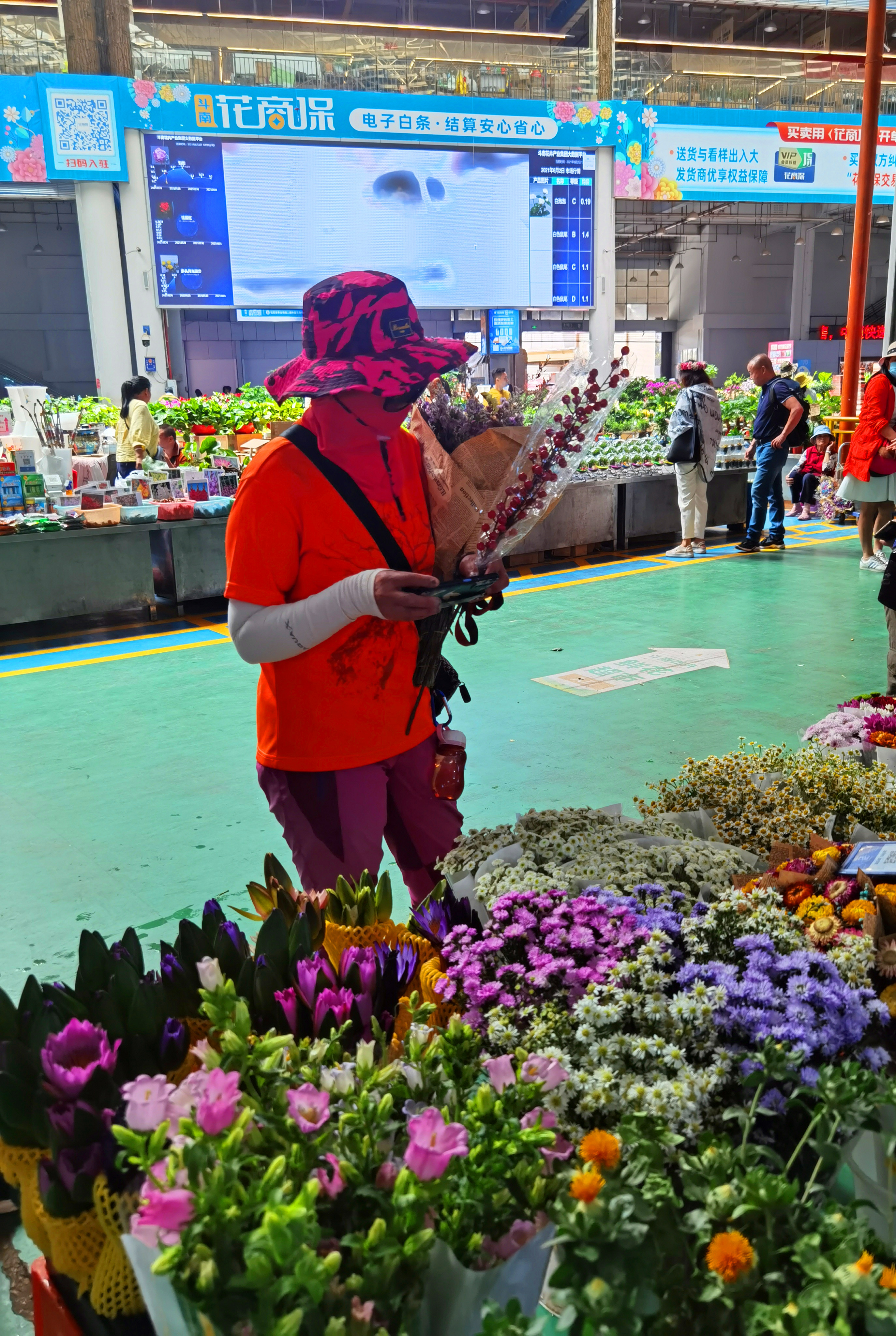 滇川藏24天之旅(五十一) 初探昆明斗南花卉交易市场