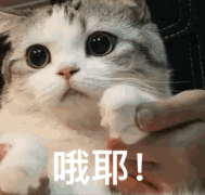 2020年最新版思维导图！初级考生抢着下载