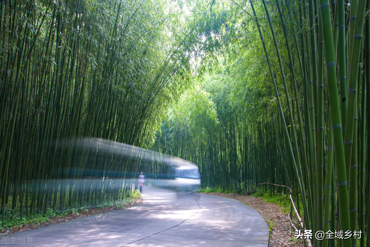 郑栾高速自驾游：栾川十大热门旅游景点排名