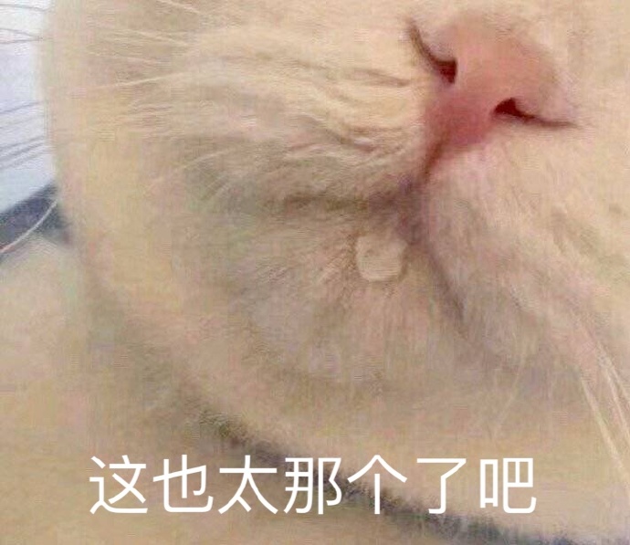 猫咪表情包合集｜看着我的双下巴再说一遍