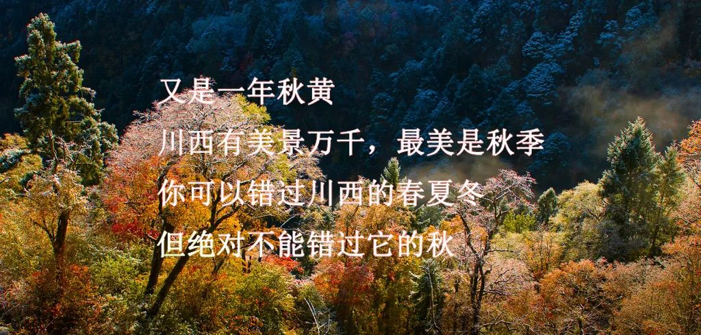 「销魂川西」醉 美 在 深 秋