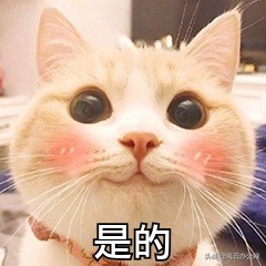 如何将MP4转换为MPG？这个方法超简单
