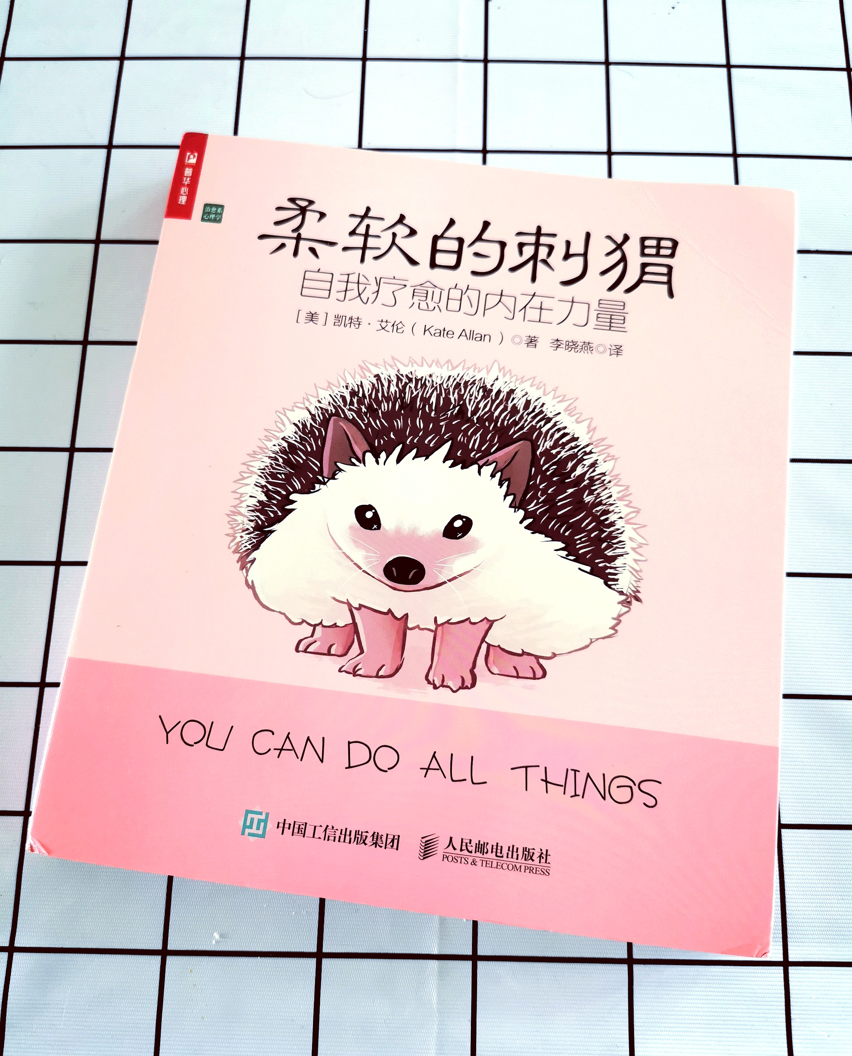 《柔软的刺猬》：用温暖美好的力量疗愈自我