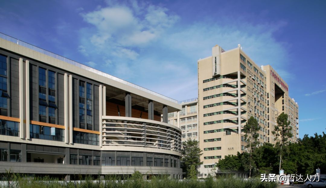 广州有哪些大学(广州留学哪个大学好)--118留学网