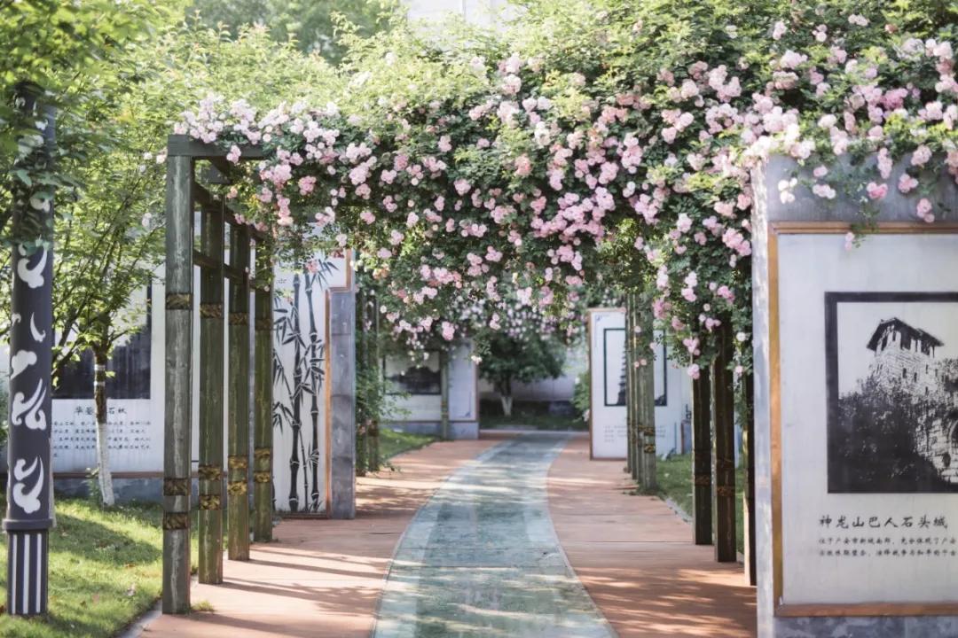 誉为伟人故里“第一高校”，这所四川优质高职院校铺好“就业路”