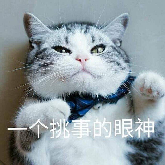 猫咪表情包：你的良心不会痛吗