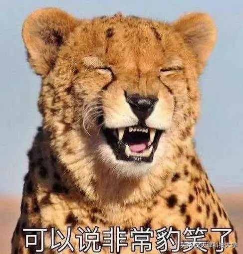 那些奇葩的宿舍名字，你中招了吗？