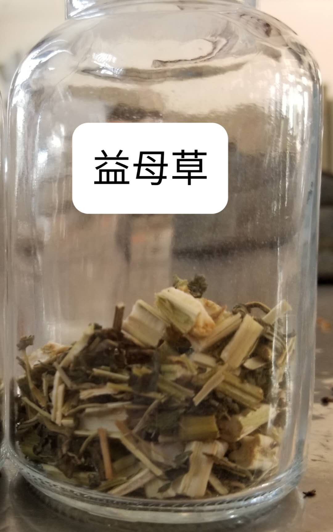 一对“母子”药（益母草与茺慰子）