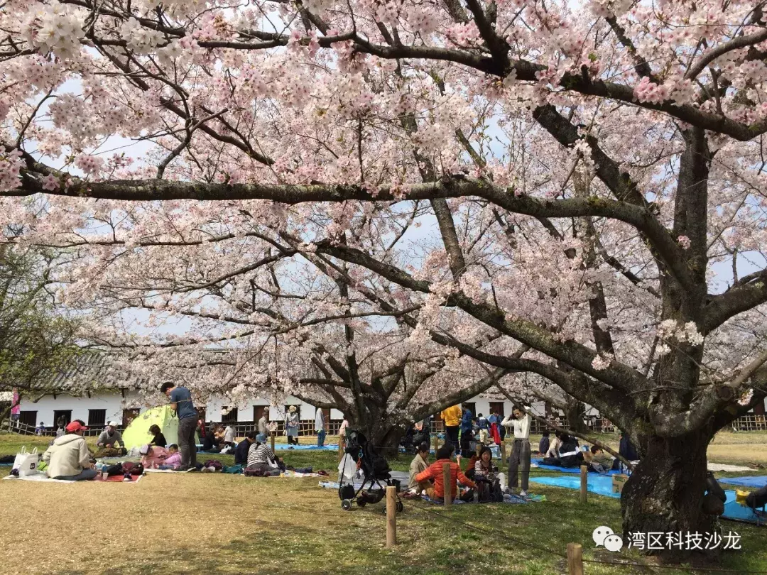 垃圾分类逼疯上海人 在日本生活六年的日企中国女高管有话说