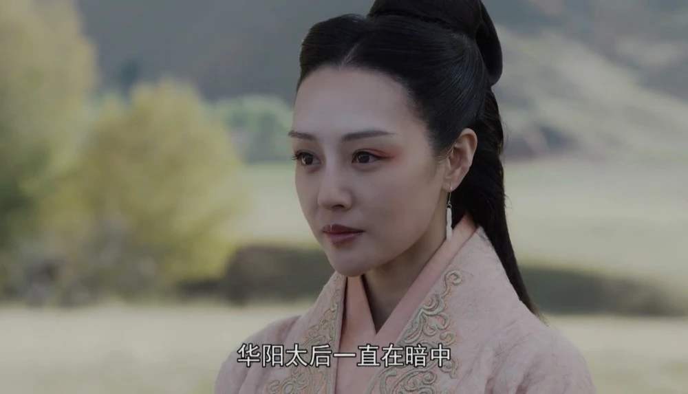 佳琪个人简介大秦赋芈华扮演者