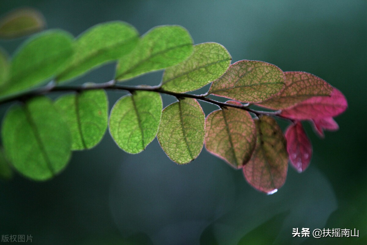 一路归途心，赏一路细雨