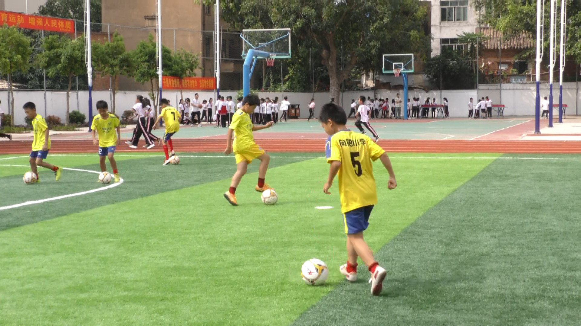 这所学校不简单，五育融合创特色学校，为孩子打好人生纯美底色