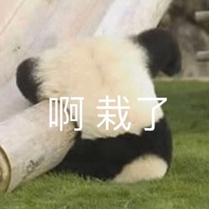 表情包：心情乱七八焦的