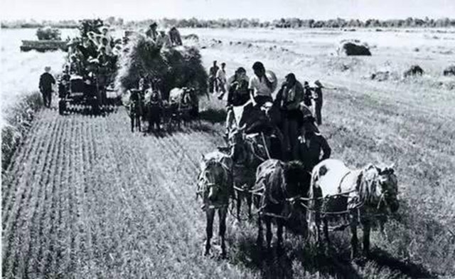 唯一没撤销的生产兵团：有14个师、2000个连队，地区GDP超2700亿