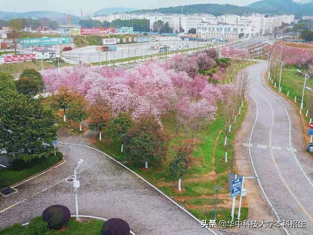 坐拥18位院士，频繁登上央视，德国总理点赞，揭秘你不知道的华中科技大学！