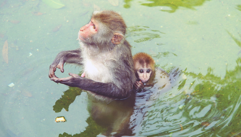 三天三夜欢乐长隆之旅（附攻略）