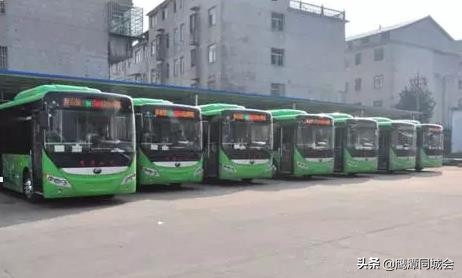 8月1日起，鹰潭公交12条线路有调整