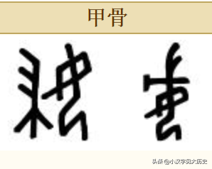 甲骨文部首详解：窈窕淑「女」，良母贤妻