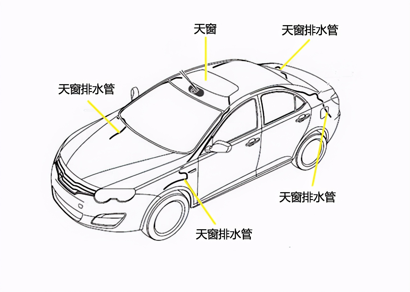 汽车天窗也需要保养，不要让你的爱车变成“游泳池”