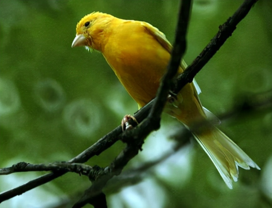 美国“残障女”联合男友杀害亲生母亲，得手后：那个婊子死了