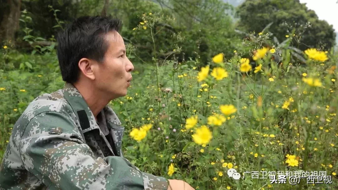 为造地雷浑身是伤，俘虏级别最高国民党将领……他们都是解放广西的英雄