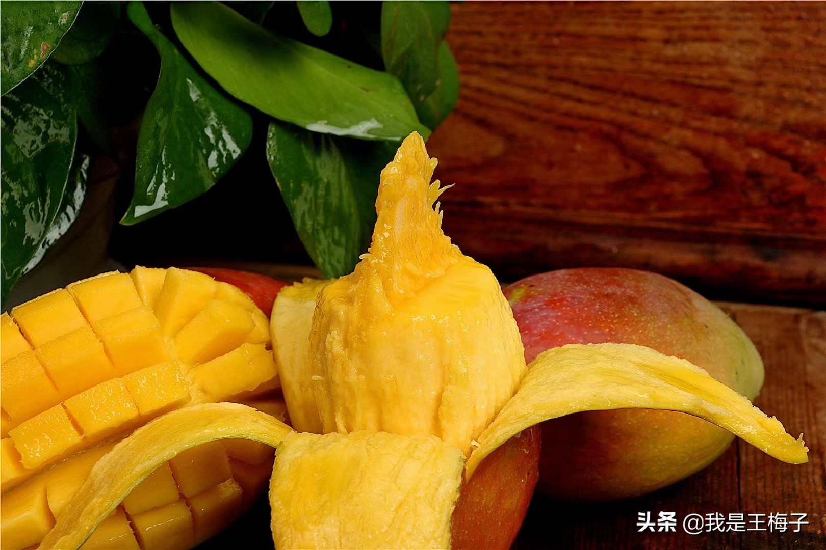 夏天，爱吃芒果的要留意，现在知道还不晚，看了告诉身边的人