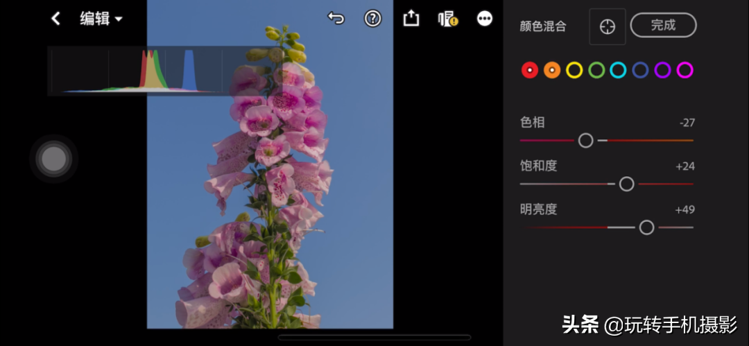 拍花后期！调色用对了，就很有春天的感觉