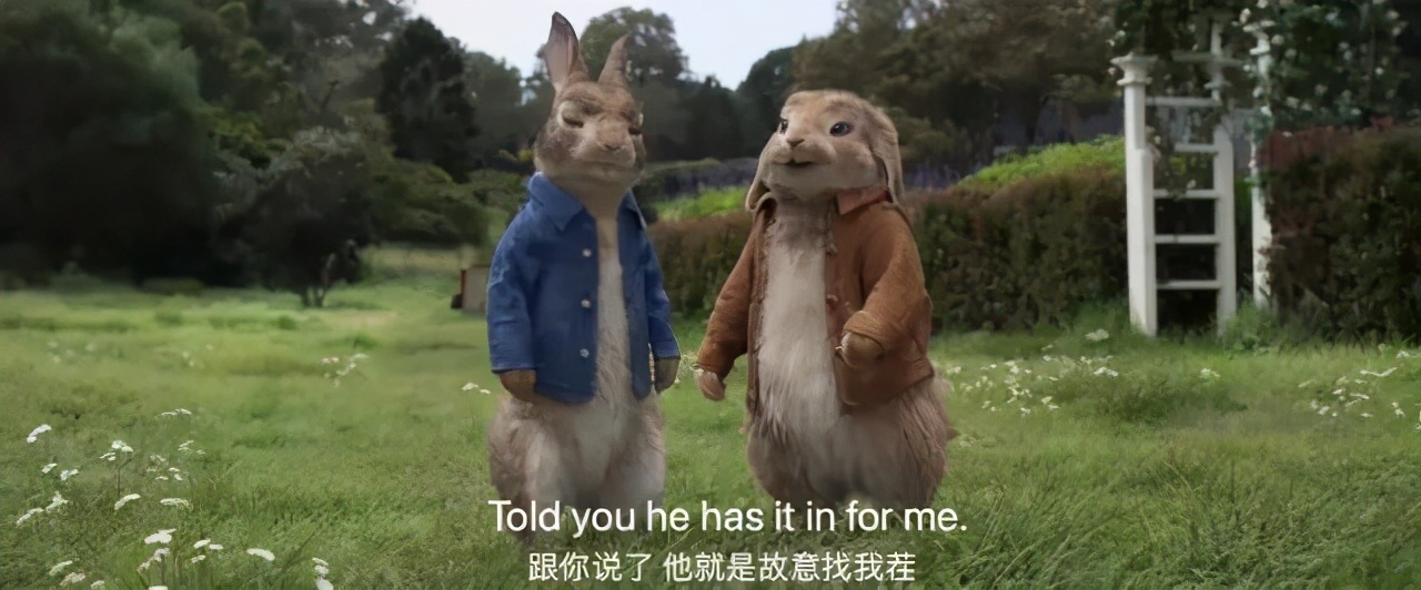 看完电影《比得兔2》，我总结了15个超实用的口语表达