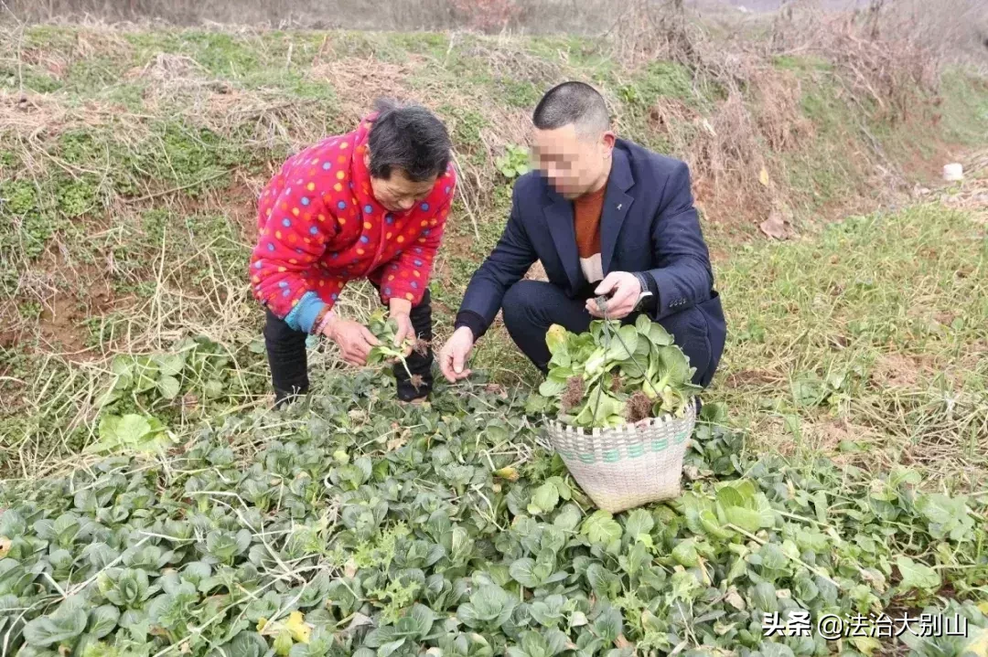 湖北服刑人员春节离监探亲全部平安返回监狱