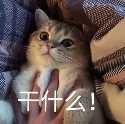 nomodel