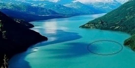 喀拉斯湖水怪秘密：原因是大红鱼吗？
