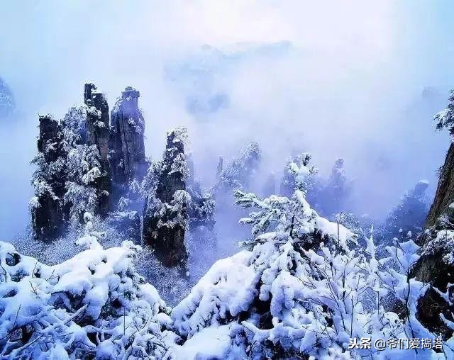 红墙，白雪，琉璃瓦，大雪压青松