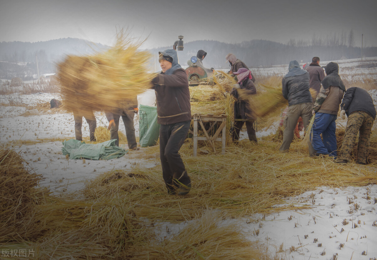 写给我们回不去的童年：此乡已非彼乡，此童已非彼童