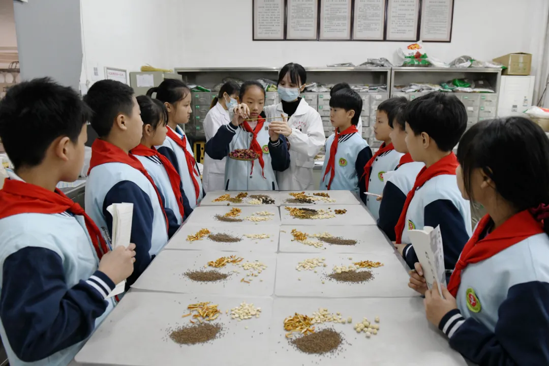世界传统医药日：感受中医药魅力 弘扬中医药文化