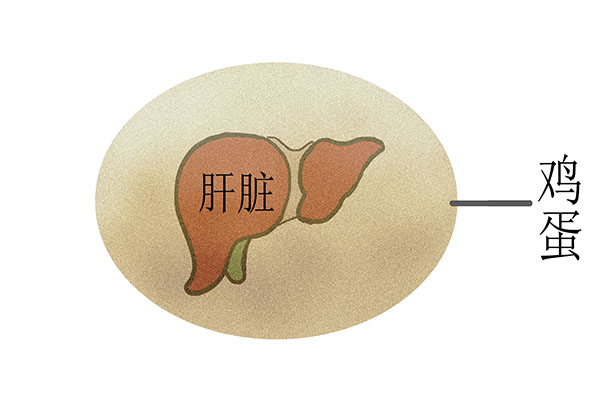 每天早上喝一碗“开水冲鸡蛋”，一段时间后，身体会变得怎么样？