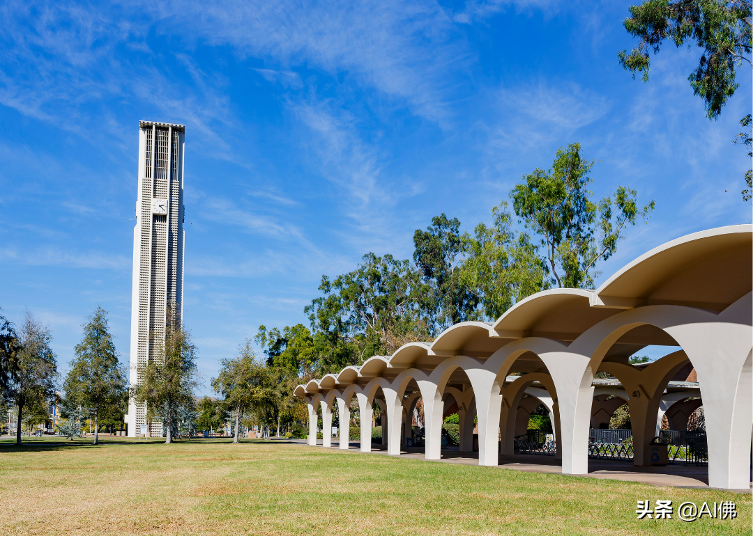 美国最自由的公立大学