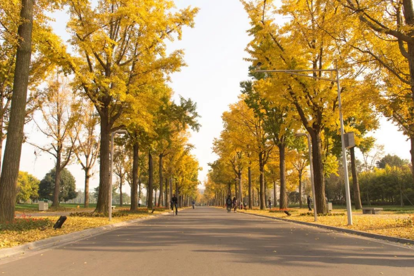 注意！电子科技大学：全国25省专业录取分数线公布，“抢先”公布