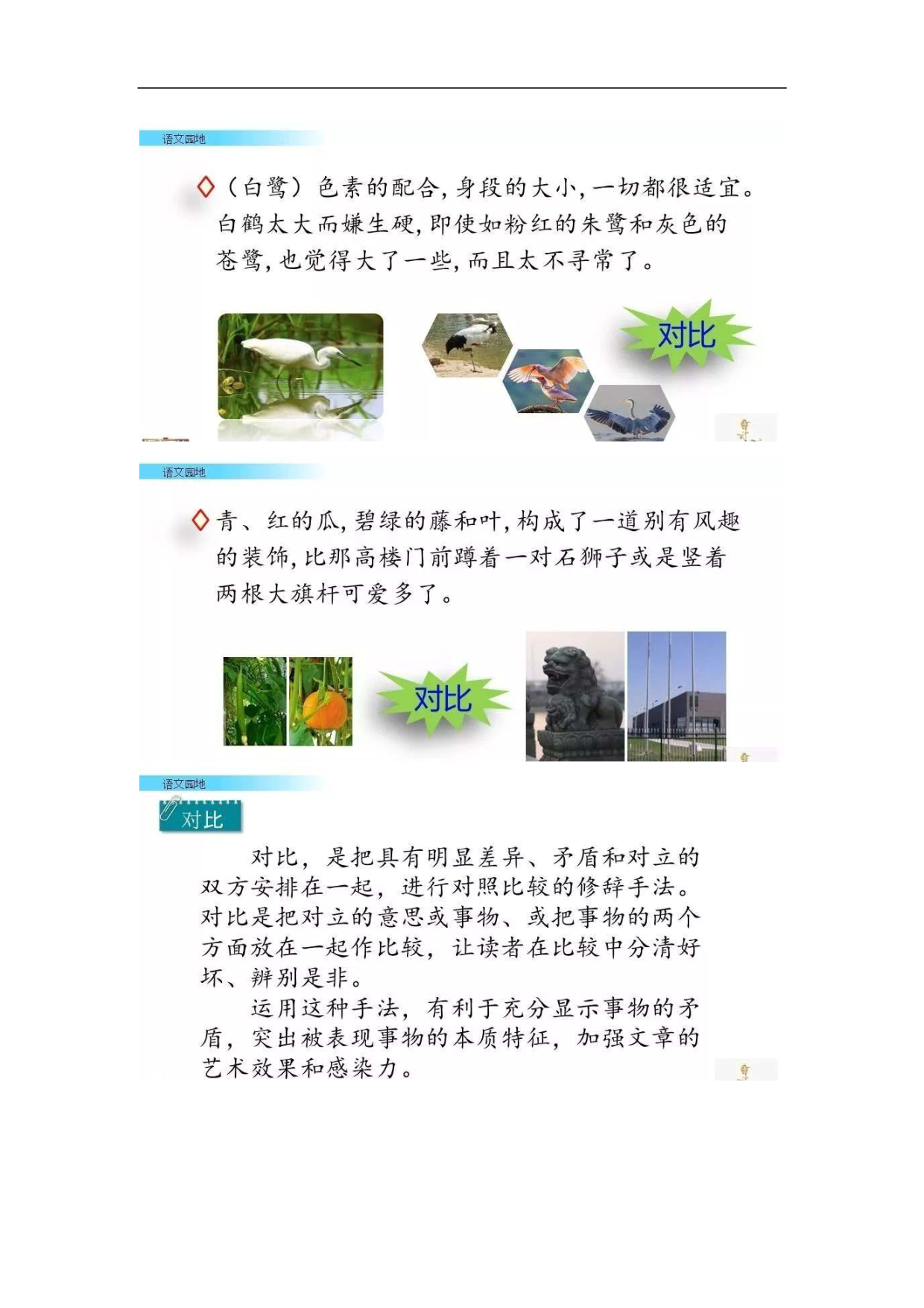 你的孩子会预习吗？部编版语文5年级上册教材课后题参考答案解析