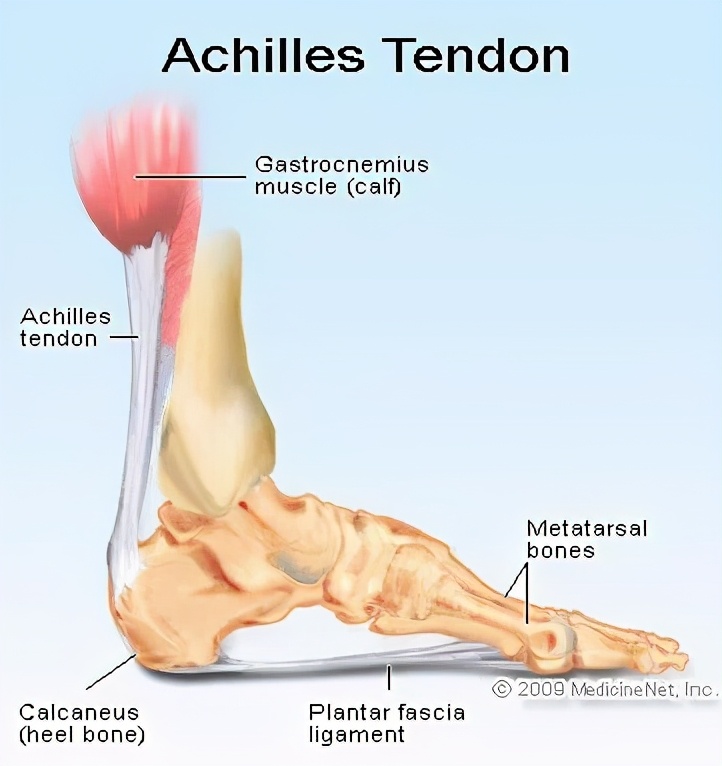 「希腊神话」01阿基里斯的脚踵 Achilles' heel