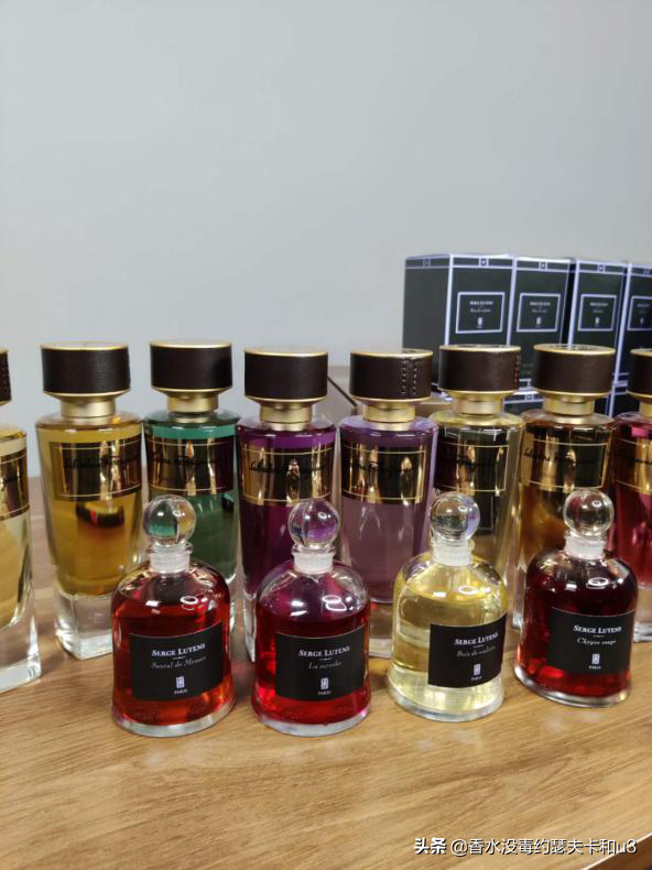 菲拉格慕除了衣服鞋子包，香水也值得夸一夸