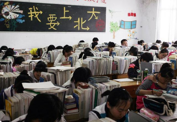 选择上公立的孩子，与上私立学校的孩子，差距是怎么拉开的？